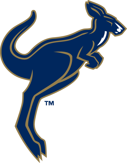 Akron Zips 2002-2007 Alternate Logo vinyl decal